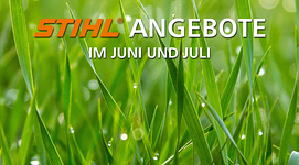 Bild zum Vergrößern anklicken